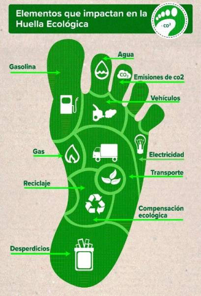 huella_ecologica.jpeg huella_ecologica.jpeg