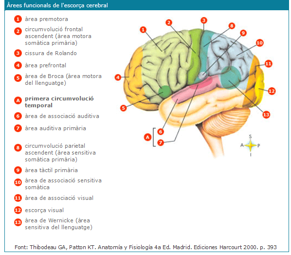 escorca.gif escorca.gif